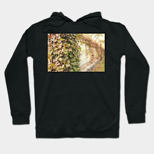 Grape Vines Hoodie